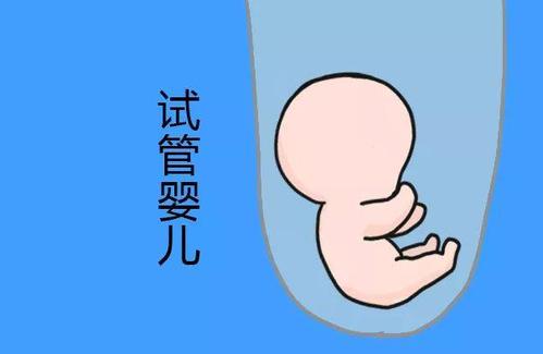 人工孕妈代怀咨询联系电话